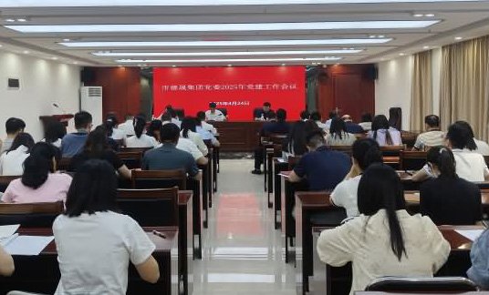 德晟集团党委召开2025年党建工作会议
